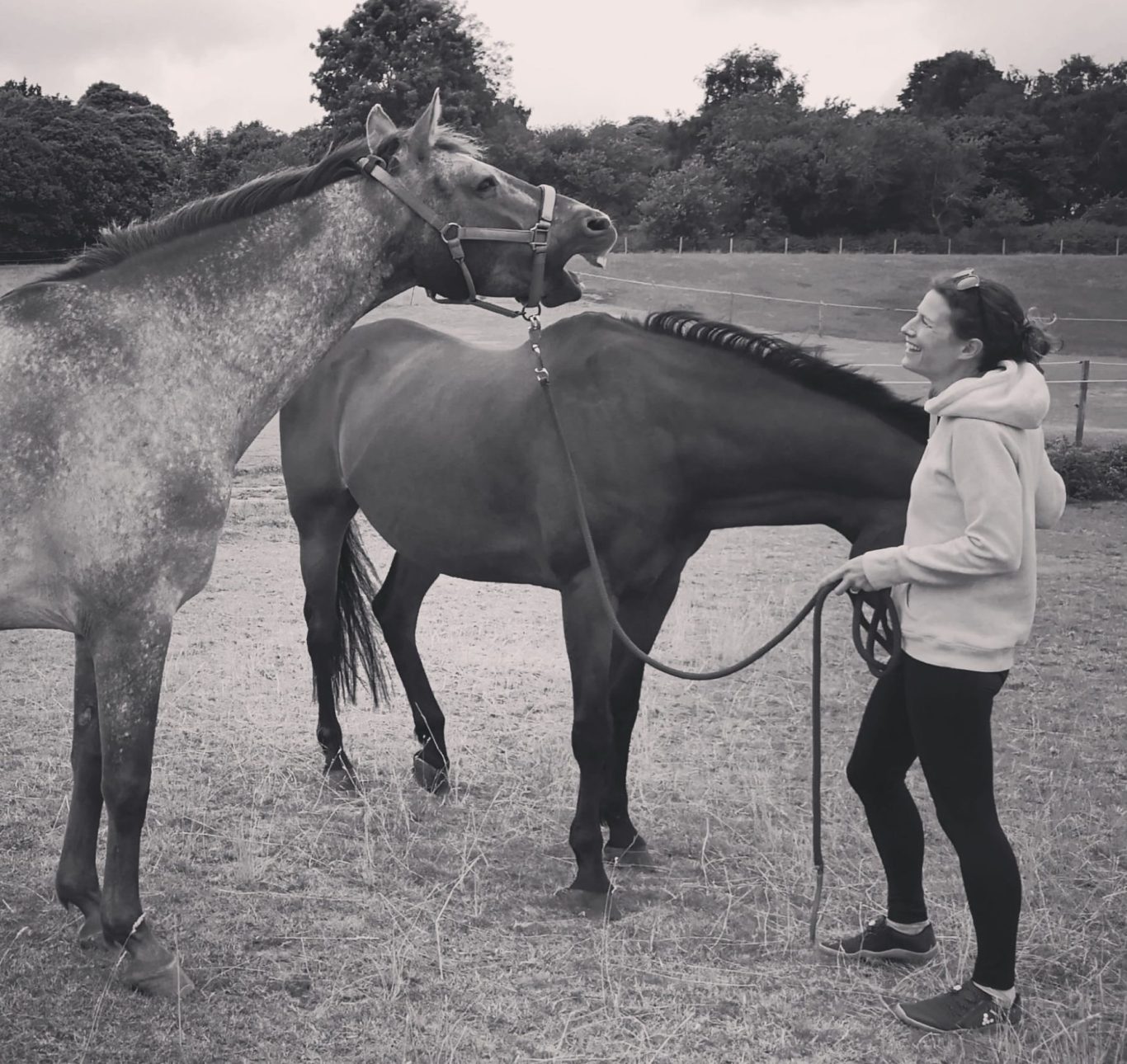 A woman holds a horse's lead while interacting with another horse in a field. Horse yawning in relaxation