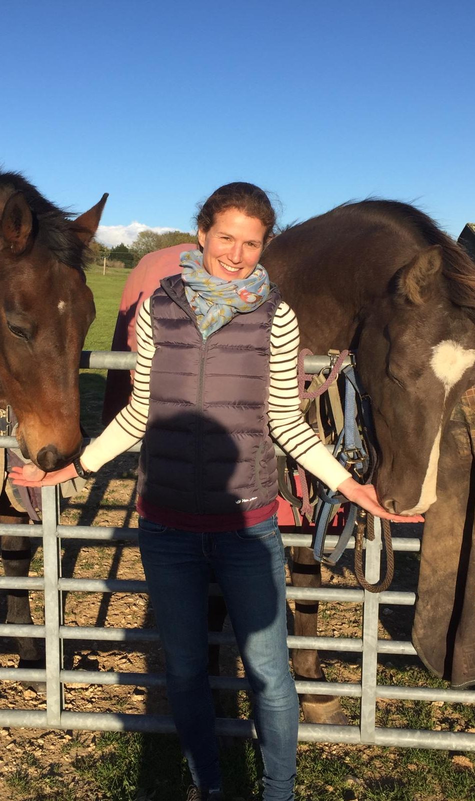A woman stands between two horses, holding their reins in a sunny field.